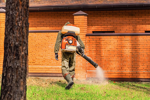 Bed Bug Clearance Verification and Documentation in Kildeer